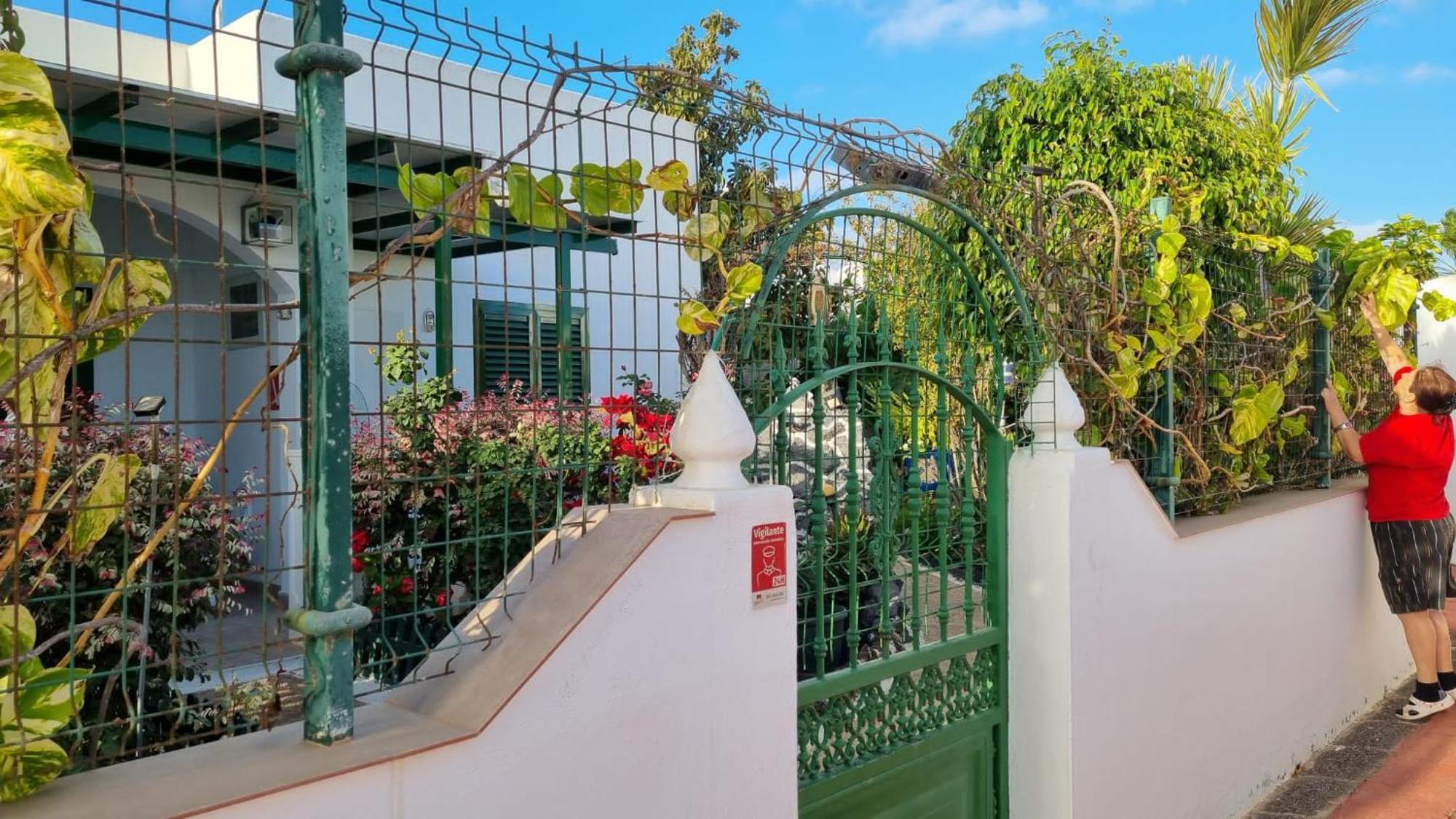Apartamento Bungalows Isabel Maria Playa Blanca  Bagian luar foto